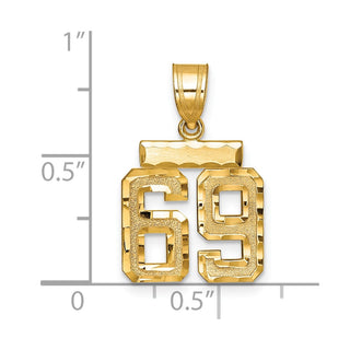 14k Yellow Gold Small Diamond-Cut Number 69 Charm