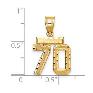 14k Yellow Gold Small Diamond-Cut Number 70 Charm