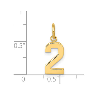 14k Yellow Gold Casted Small Polished Number 2 Charm
