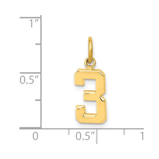 14k Yellow Gold Casted Small Polished Number 3 Charm