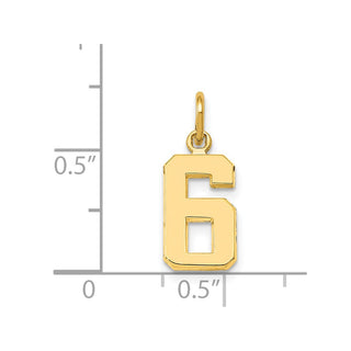 14k Yellow Gold Casted Small Polished Number 6 Charm