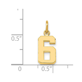 14k Yellow Gold Casted Small Polished Number 6 Charm