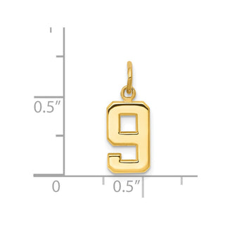 14k Yellow Gold Casted Small Polished Number 9 Charm