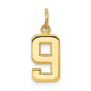 14k Yellow Gold Casted Small Polished Number 9 Charm