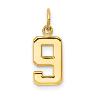 14k Yellow Gold Casted Small Polished Number 9 Charm