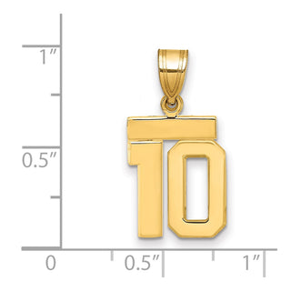 14k Yellow Gold Small Polished Number 10 Charm SP10