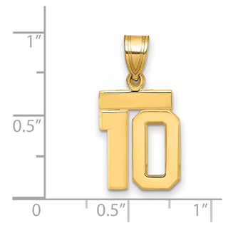 14k Yellow Gold Small Polished Number 10 Charm SP10