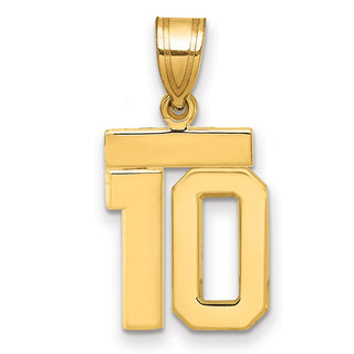 14k Yellow Gold Small Polished Number 10 Charm SP10