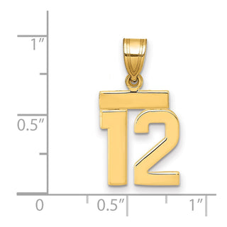 14k Yellow Gold Small Polished Number 12 Pendant SP12