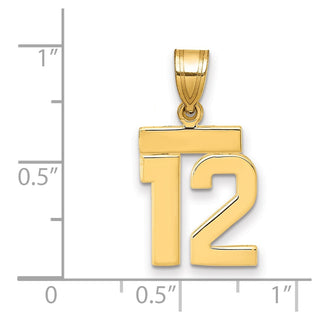 14k Yellow Gold Small Polished Number 12 Charm SP12