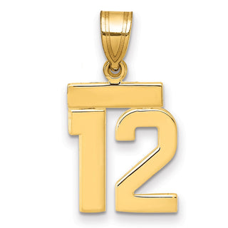 14k Yellow Gold Small Polished Number 12 Pendant SP12