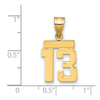 14k Yellow Gold Small Polished Number 13 Charm SP13