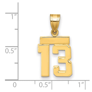 14k Yellow Gold Small Polished Number 13 Charm SP13