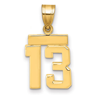14k Yellow Gold Small Polished Number 13 Charm SP13