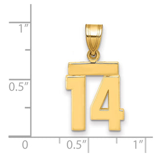 14k Yellow Gold Small Polished Number 14 Charm SP14