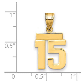 14k Yellow Gold Small Polished Number 15 Charm SP15