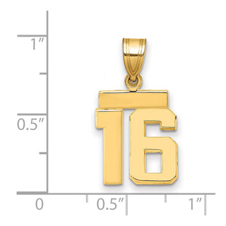14k Yellow Gold Small Polished Number 16 Charm SP16