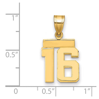 14k Yellow Gold Small Polished Number 16 Charm SP16