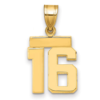 14k Yellow Gold Small Polished Number 16 Charm SP16
