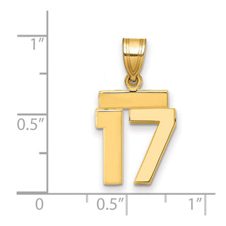 14k Yellow Gold Small Polished Number 17 Charm SP17