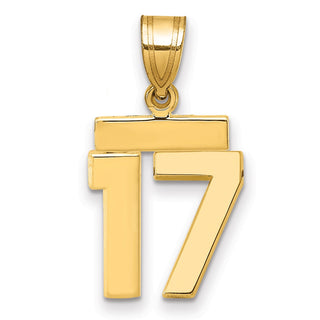 14k Yellow Gold Small Polished Number 17 Charm SP17