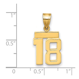 14k Yellow Gold Small Polished Number 18 Charm SP18