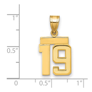 14k Yellow Gold Small Polished Number 19 Charm SP19