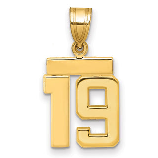 14k Yellow Gold Small Polished Number 19 Charm SP19