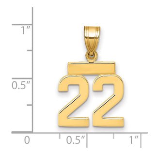 14k Yellow Gold Small Polished Number 22 Charm SP22