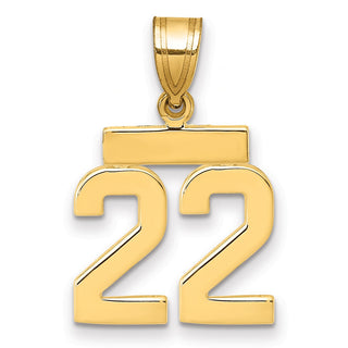 14k Yellow Gold Small Polished Number 22 Charm SP22