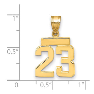 14k Yellow Gold Small Polished Number 23 Charm SP23