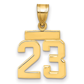14k Yellow Gold Small Polished Number 23 Charm SP23