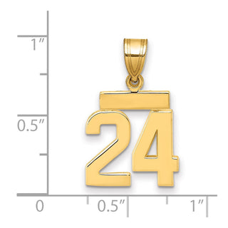 14k Yellow Gold Small Polished Number 24 Charm SP24