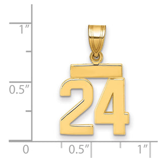 14k Yellow Gold Small Polished Number 24 Charm SP24