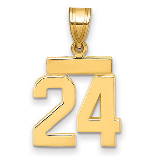 14k Yellow Gold Small Polished Number 24 Charm SP24