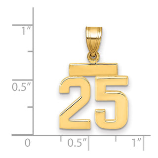 14k Yellow Gold Small Polished Number 25 Charm SP25