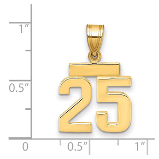 14k Yellow Gold Small Polished Number 25 Charm SP25