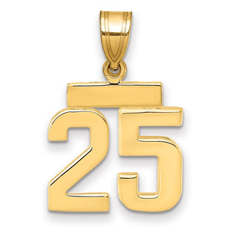 14k Yellow Gold Small Polished Number 25 Charm SP25