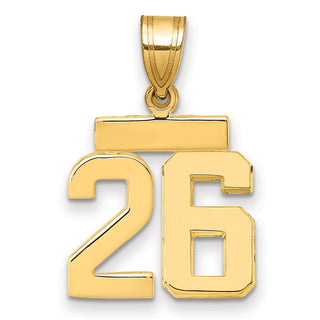 14k Yellow Gold Small Polished Number 26 Charm SP26