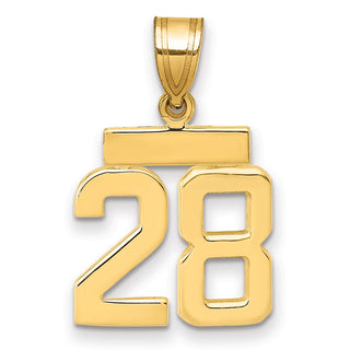 14k Yellow Gold Small Polished Number 28 Charm SP28