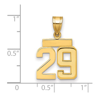 14k Yellow Gold Small Polished Number 29 Charm SP29