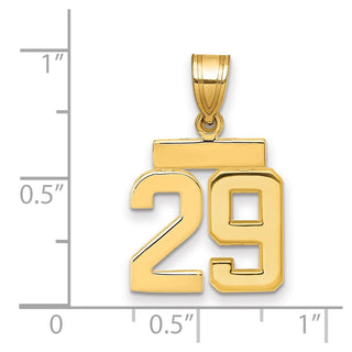14k Yellow Gold Small Polished Number 29 Charm SP29