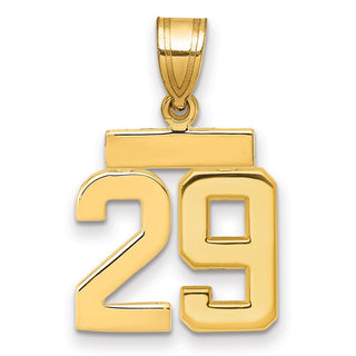14k Yellow Gold Small Polished Number 29 Charm SP29