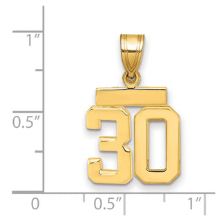14k Yellow Gold Small Polished Number 30 Charm SP30