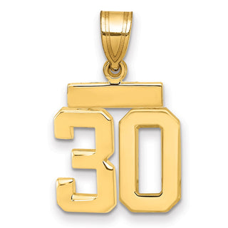 14k Yellow Gold Small Polished Number 30 Charm SP30
