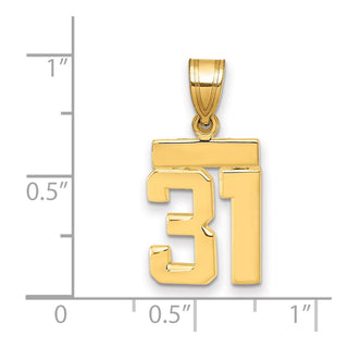 14k Yellow Gold Small Polished Number 31 Charm SP31