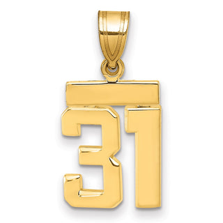 14k Yellow Gold Small Polished Number 31 Charm SP31