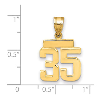 14k Yellow Gold Small Polished Number 35 Charm SP35