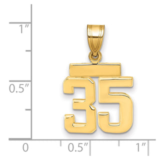 14k Yellow Gold Small Polished Number 35 Charm SP35