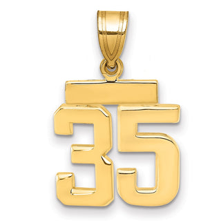 14k Yellow Gold Small Polished Number 35 Charm SP35